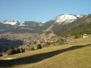 DSC04330.jpg