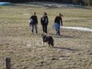 DSC04333.jpg