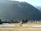 DSC04335.jpg
