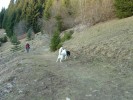 DSC04337.jpg