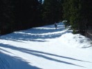 DSC04341.jpg
