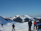 DSC04343.jpg