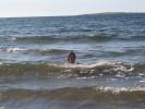 100_2929.jpg