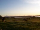 100_2940.jpg
